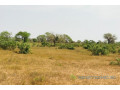 terrain-de-146-hectare-vers-koul-small-0