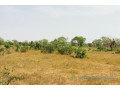 terrain-de-146-hectare-vers-koul-small-2