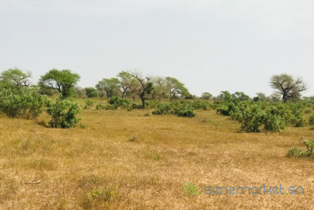 terrain-de-146-hectare-vers-koul-big-0