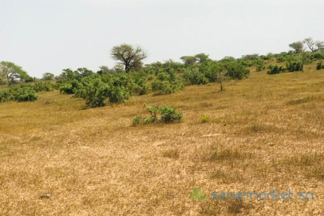 terrain-de-146-hectare-vers-koul-big-1