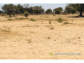 terrain-de-15-hectare-vers-ngoundiane-small-2