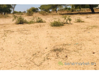 Terrain de 1,5 hectare Vers Ngoundiane