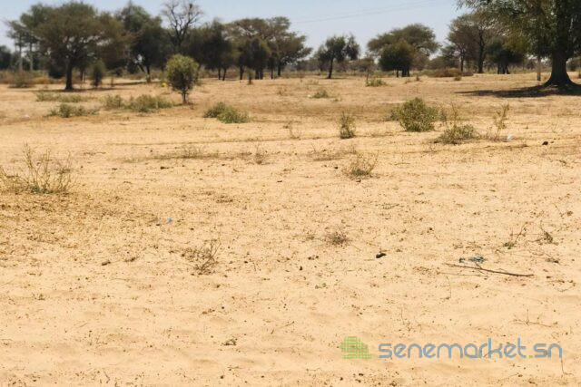 terrain-de-15-hectare-vers-ngoundiane-big-2