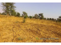 terrain-de-15-hectare-vers-notto-diobass-small-1