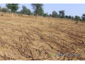 terrain-de-15-hectare-vers-notto-diobass-small-0