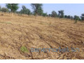 terrain-de-15-hectare-vers-notto-diobass-small-2