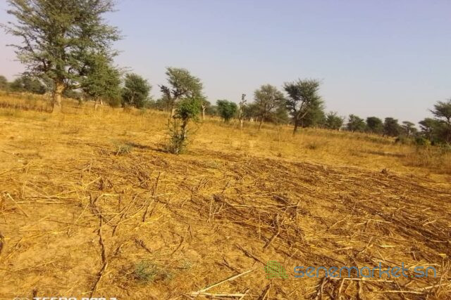 terrain-de-15-hectare-vers-notto-diobass-big-1