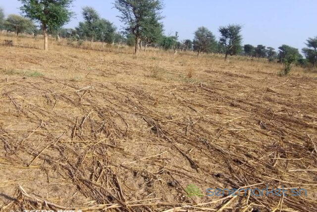 terrain-de-15-hectare-vers-notto-diobass-big-0