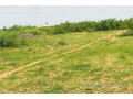 terrain-de-156-hectare-vers-notto-diobass-small-2