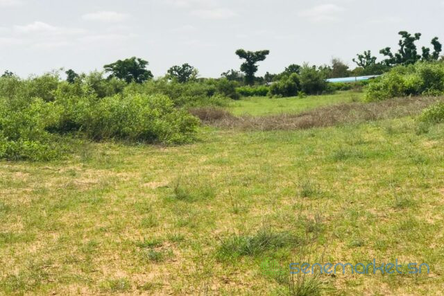 terrain-de-156-hectare-vers-notto-diobass-big-0