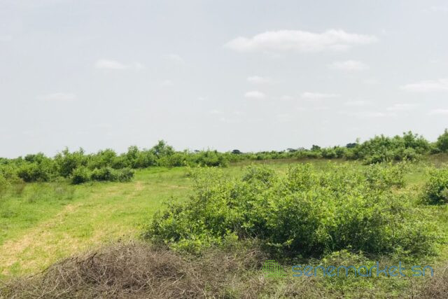 terrain-de-156-hectare-vers-notto-diobass-big-1