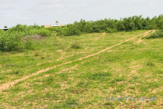 terrain-de-156-hectare-vers-notto-diobass-big-2