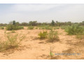 terrain-de-153-hectare-vers-notto-diobass-small-2