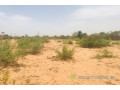 terrain-de-153-hectare-vers-notto-diobass-small-0