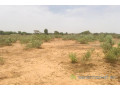 terrain-de-153-hectare-vers-notto-diobass-small-1