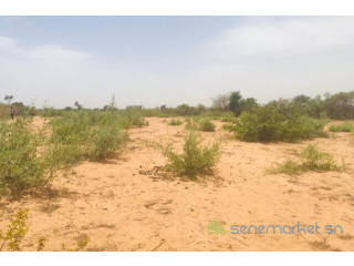 Terrain de 1,53 hectare vers Notto Diobass