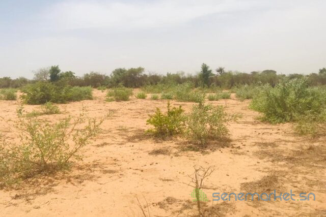 terrain-de-153-hectare-vers-notto-diobass-big-2
