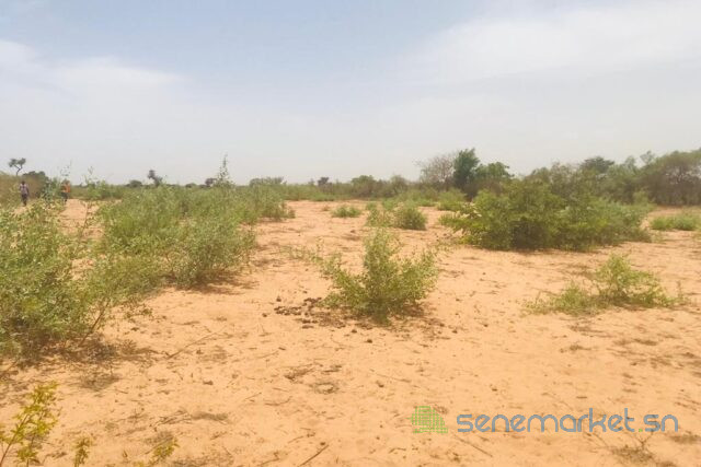 terrain-de-153-hectare-vers-notto-diobass-big-0