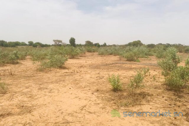 terrain-de-153-hectare-vers-notto-diobass-big-1
