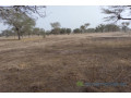 terrain-de-156-hectare-vers-keur-samba-kane-small-1