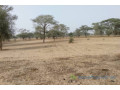 terrain-de-156-hectare-vers-keur-samba-kane-small-2