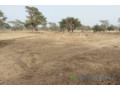 terrain-de-156-hectare-vers-keur-samba-kane-small-0