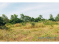 terrain-de-158-hectare-vers-bambilor-small-0