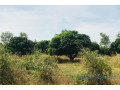 terrain-de-158-hectare-vers-bambilor-small-1