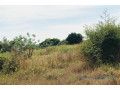 terrain-de-158-hectare-vers-bambilor-small-2