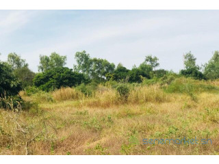 Terrain de 1,58 hectare vers Bambilor