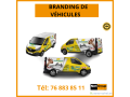 branding-pour-vehicules-small-0
