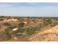 terrain-de-159-hectare-a-diokoul-diawrigne-small-2