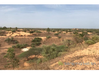Terrain de 1,59 hectare à Diokoul Diawrigne