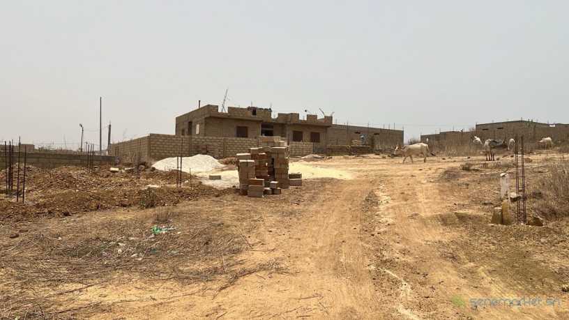 terrain-de-225-metres-carres-a-vendre-a-yenne-nditakh-big-1