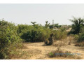 terrain-de-16-hectare-vers-diender-small-1