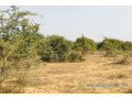 terrain-de-16-hectare-vers-diender-small-0