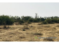 terrain-de-16-hectare-vers-diender-small-2