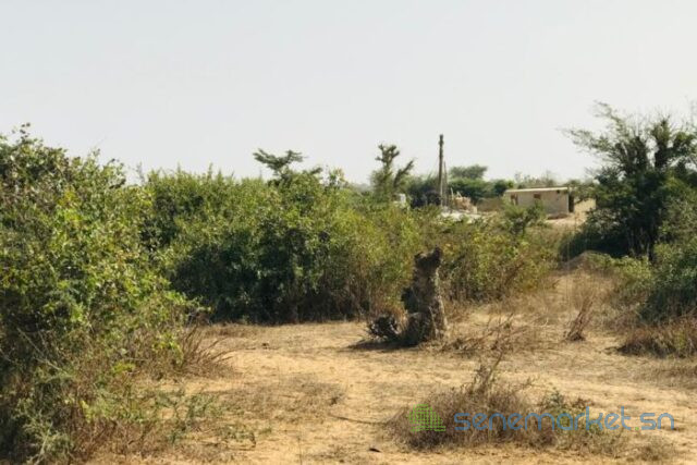 terrain-de-16-hectare-vers-diender-big-1