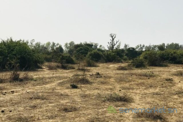 terrain-de-16-hectare-vers-diender-big-2