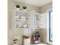 placard-de-cuisine-moderne-12060-small-2