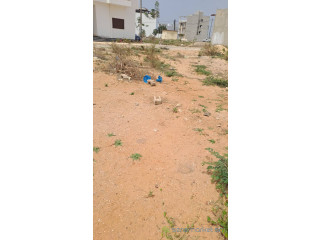Un terrain à vendre à la SN CITY