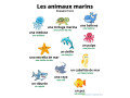 cours-particuliers-de-langue-en-francaisen-anglais-et-en-espagnol-small-1