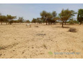 terrain-de-165-hectare-vers-diokoul-diawrigne-small-2