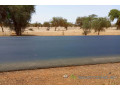 terrain-de-165-hectare-vers-diokoul-diawrigne-small-1