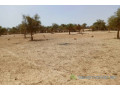 terrain-de-165-hectare-vers-diokoul-diawrigne-small-0