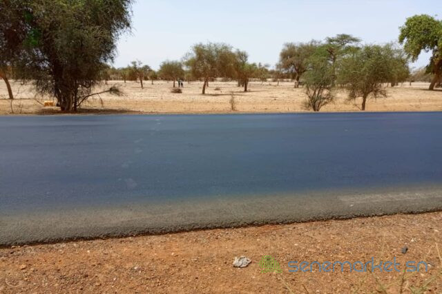 terrain-de-165-hectare-vers-diokoul-diawrigne-big-1