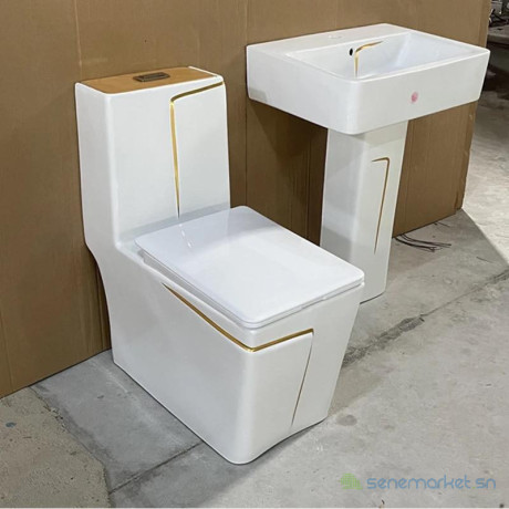 ensemble-chaise-anglaise-et-lavabo-sophia-avec-differents-design-big-0