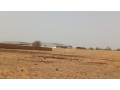 terrain-de-10000-metres-carres-a-vendre-a-ngaparou-senegal-small-2