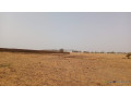 terrain-de-10000-metres-carres-a-vendre-a-ngaparou-senegal-small-3