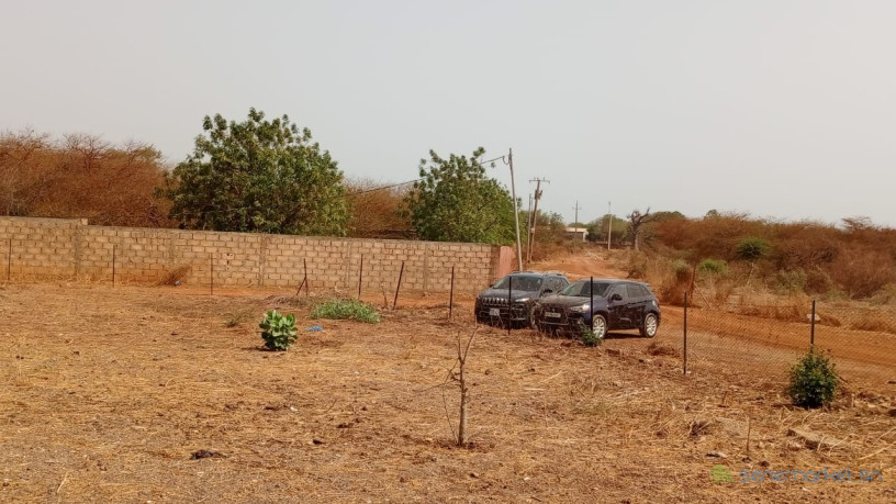 terrain-de-10000-metres-carres-a-vendre-a-ngaparou-senegal-big-1